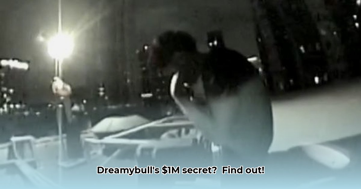 dreamybull-net-worth